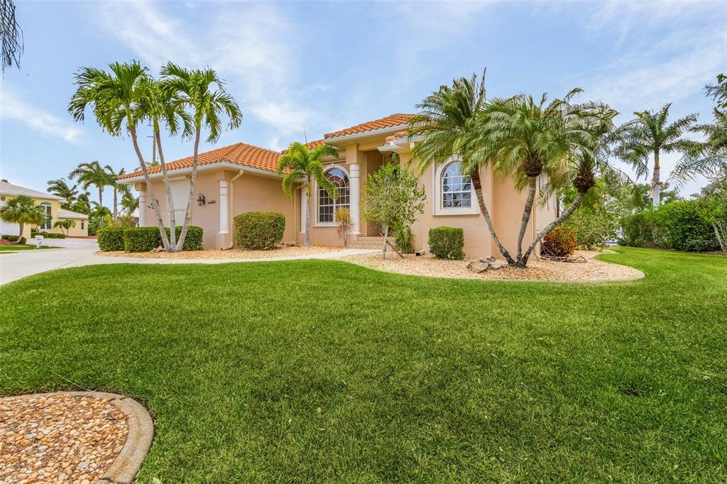 a view of a palm trees in front of a house