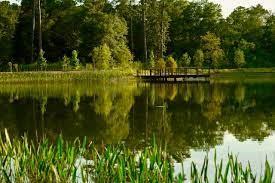 a view of lake background with house