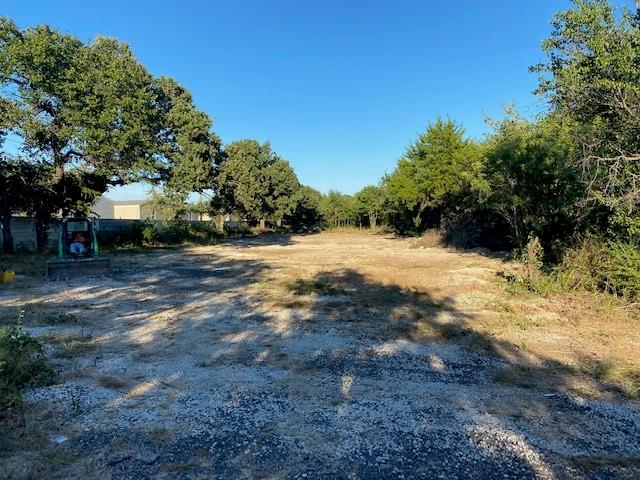 a view of a yard with a tree