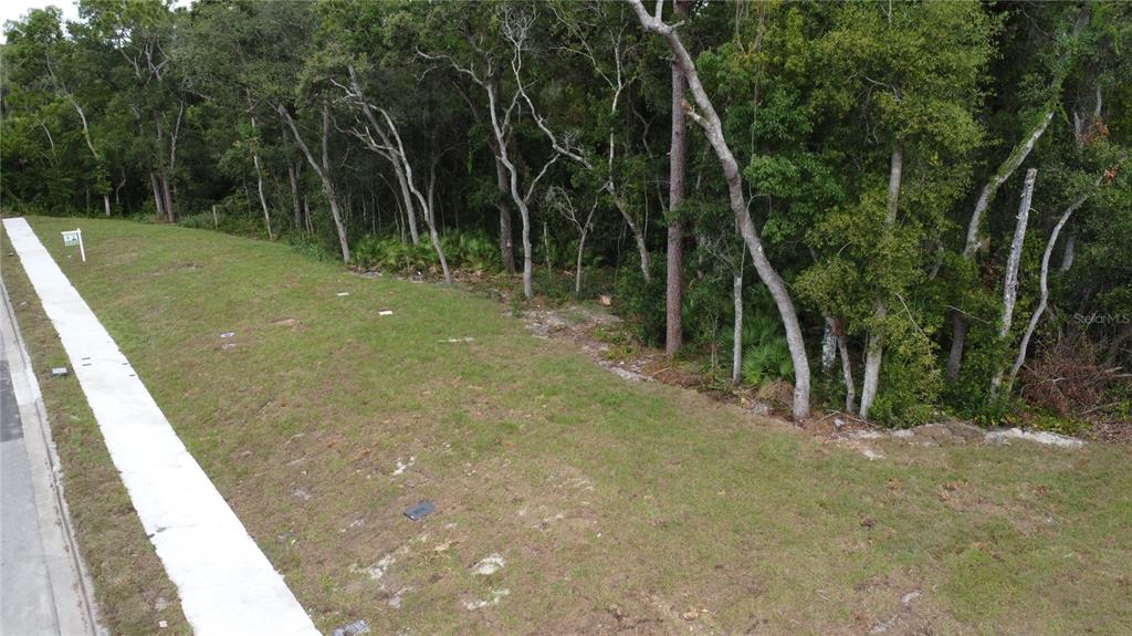 a view of outdoor space and yard