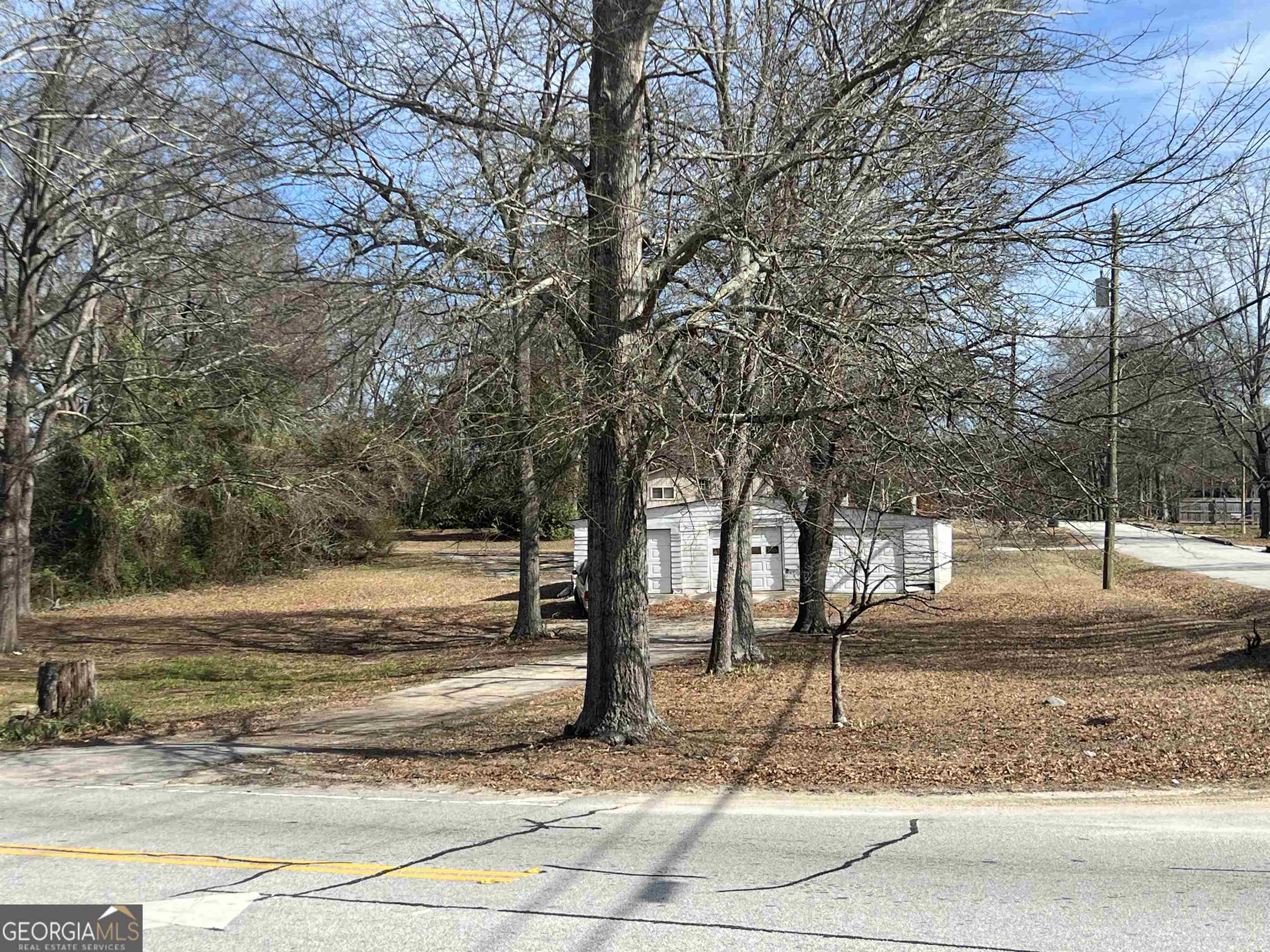 a view of a yard with large trees