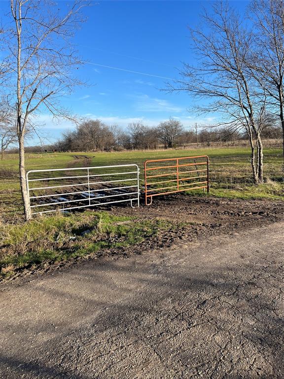 a view of a yard with wooden fence