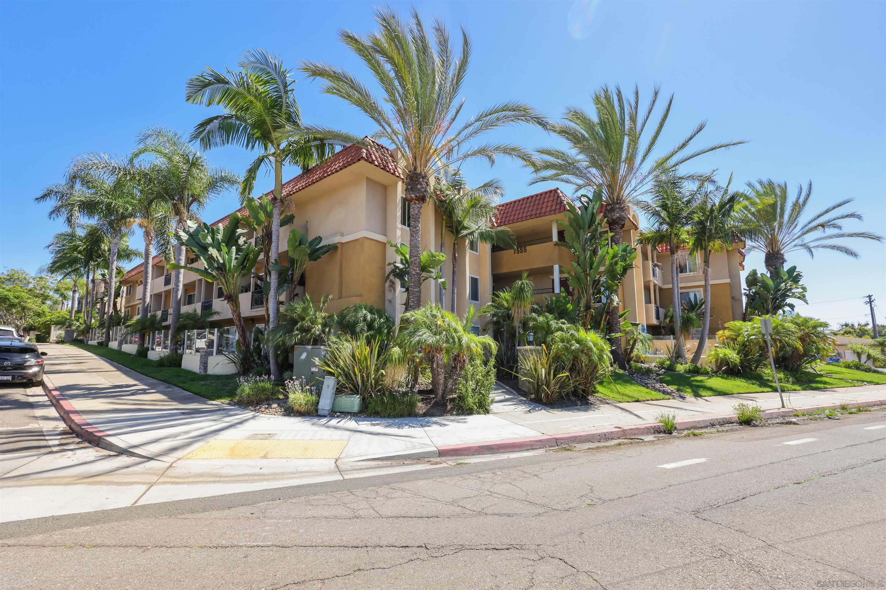 a view of a garden with palm trees