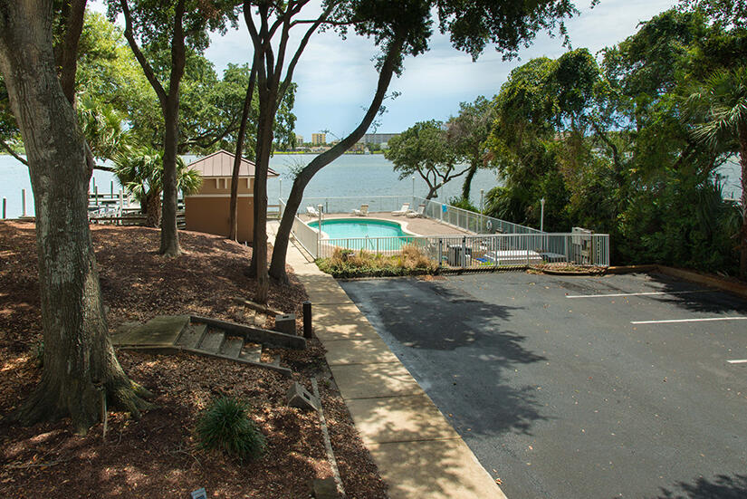 a view of a park with large trees