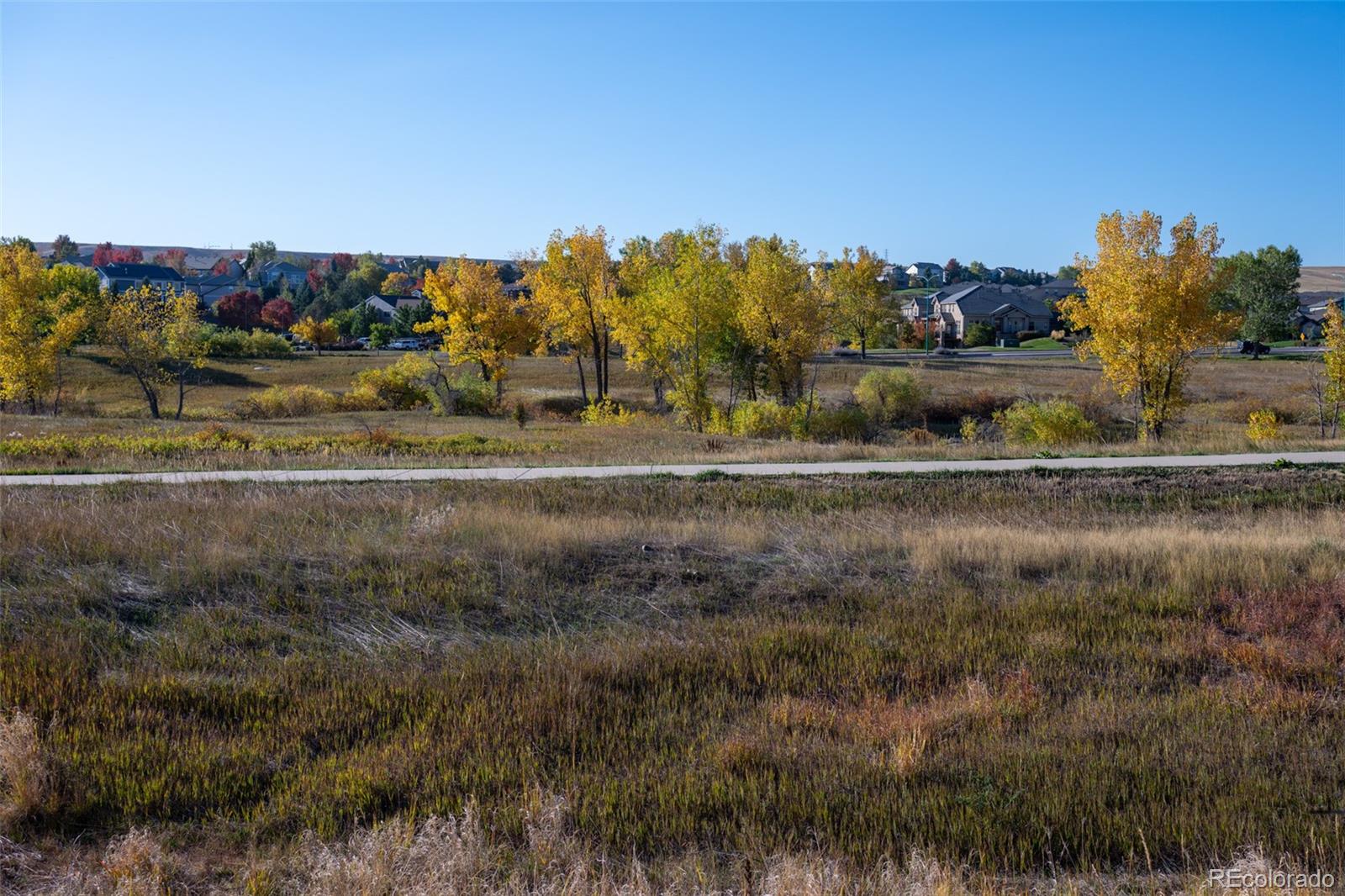 a view of a yard