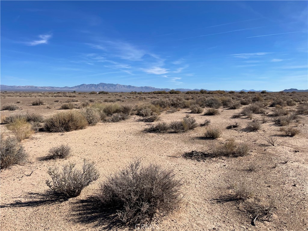 a view of a dry yard