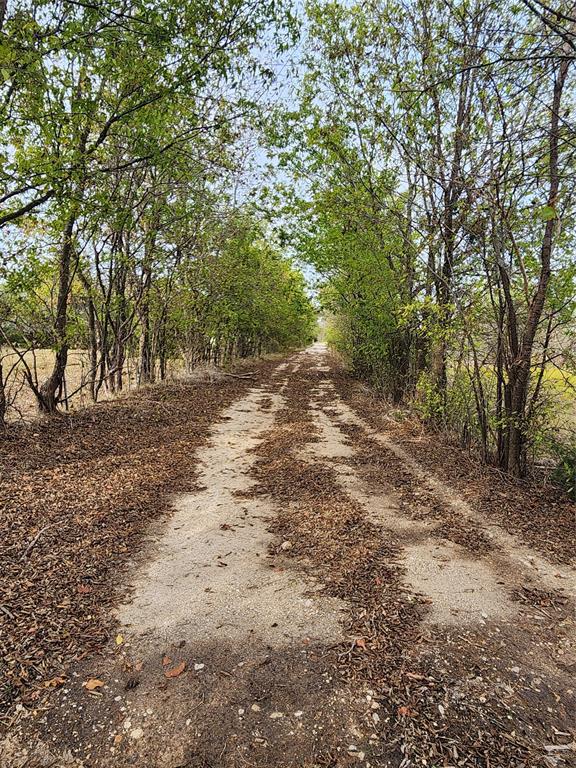 a view of dirt yard with a trees