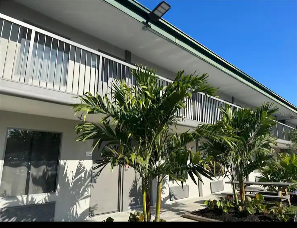 a plant that is in front of a house