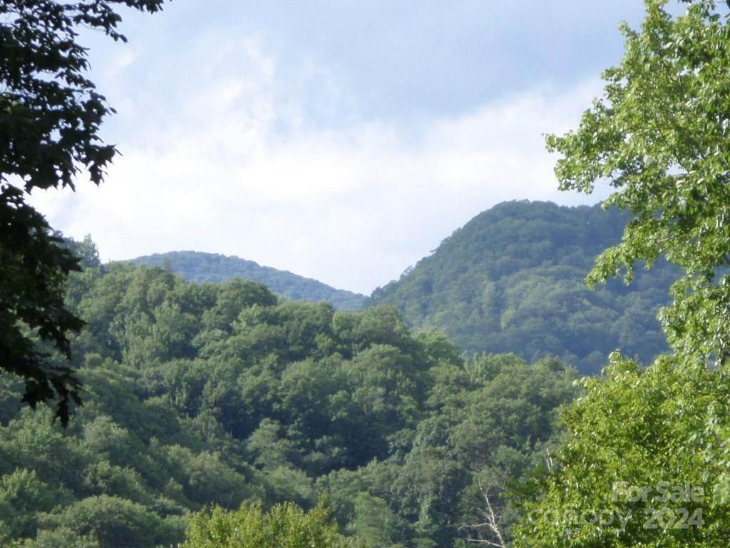 an aerial view of mountain with trees