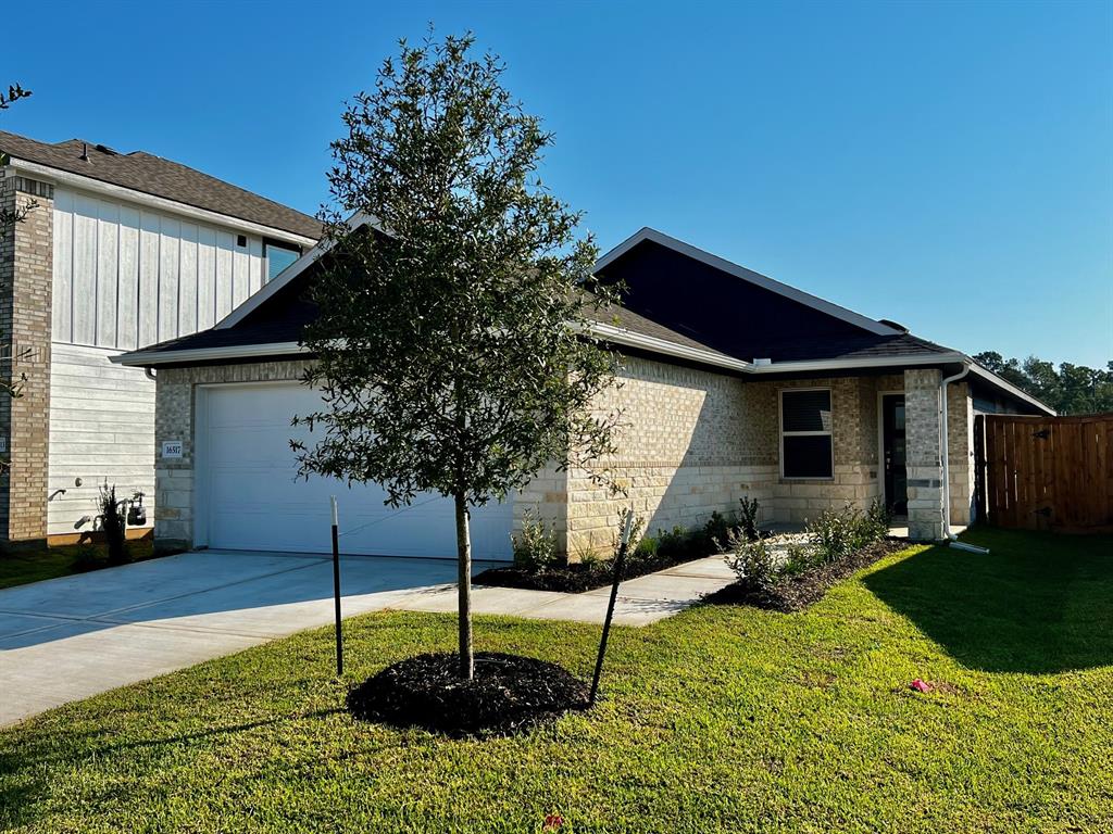 a house that has a tree in front of it