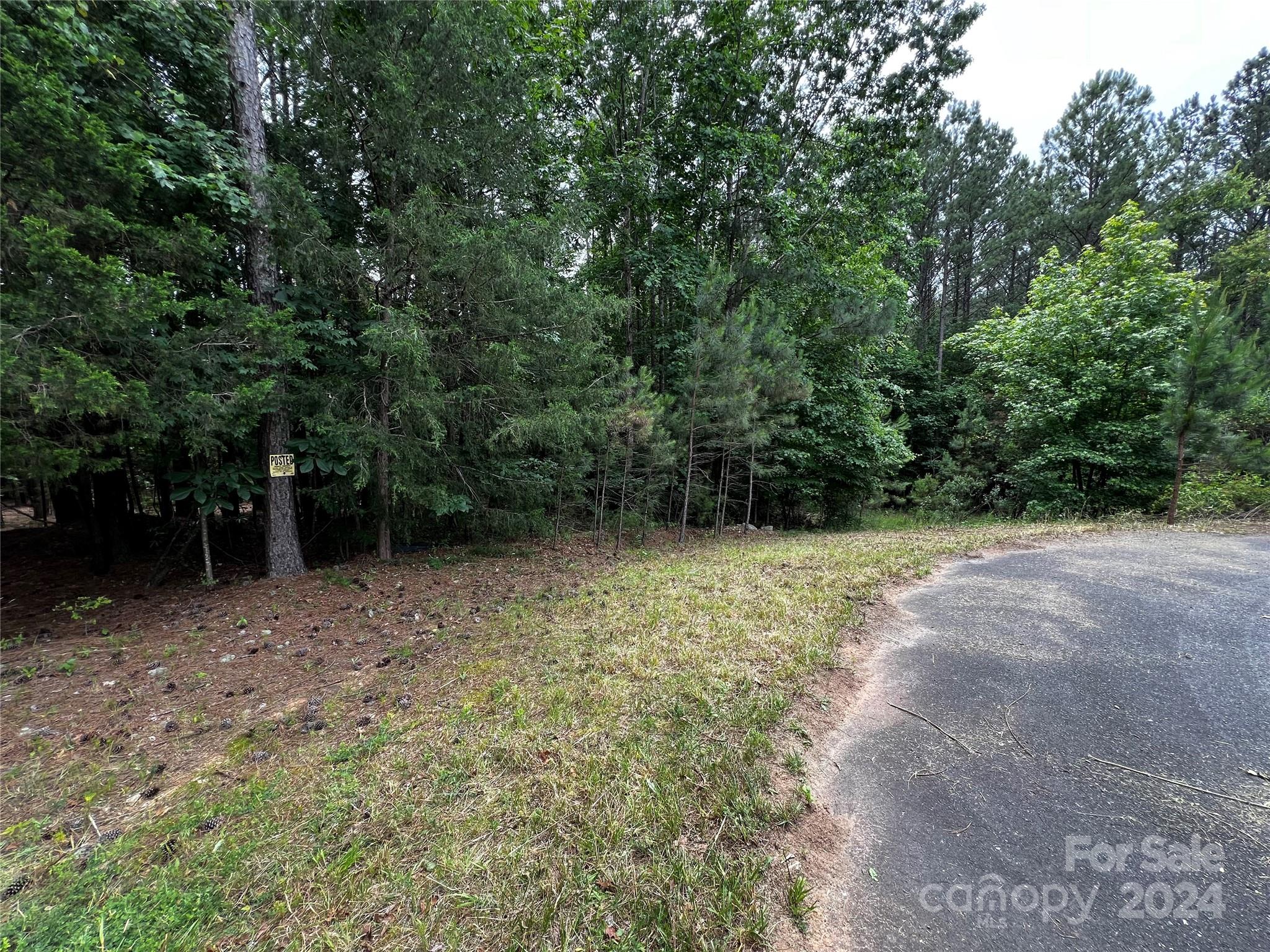 a view of outdoor space and yard