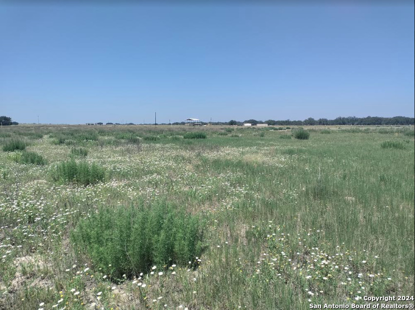 a view of a green field with lots of bushes