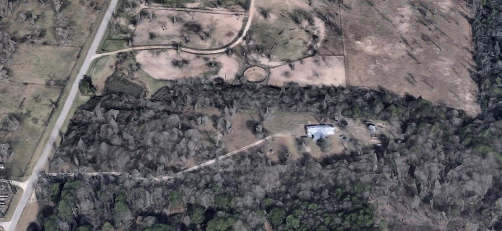 a view of a dry yard with lots of trees