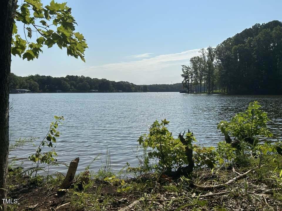 a view of a lake with a mountain in the background