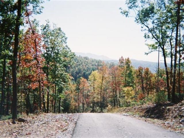 a view of a forest with trees in the background