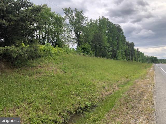 a view of a field with trees in the background