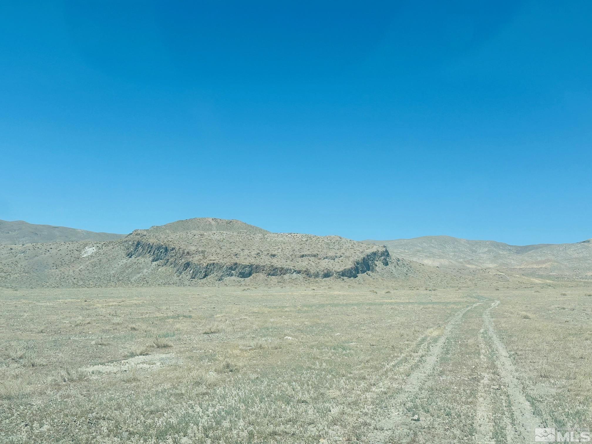 a view of a dry field with trees in the background