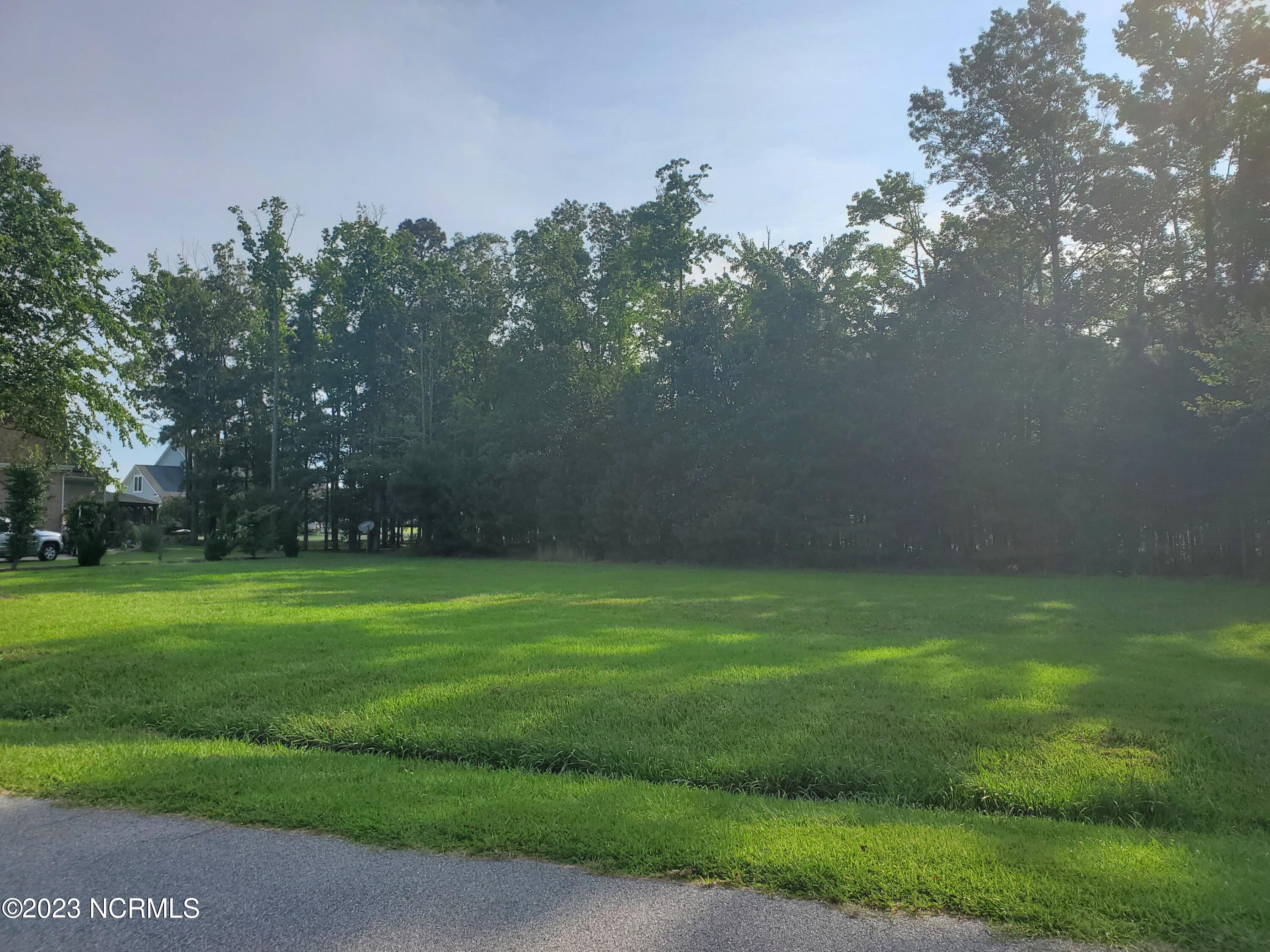 Lake on back of lot, behind trees