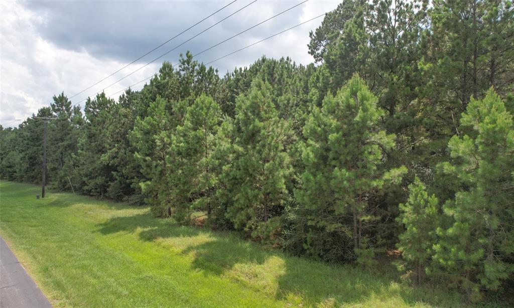 a view of a forest with a houses