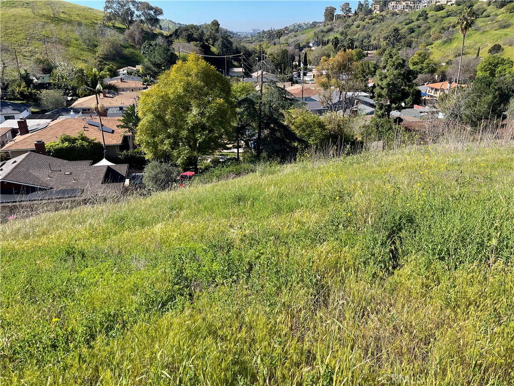 a view of outdoor space and yard