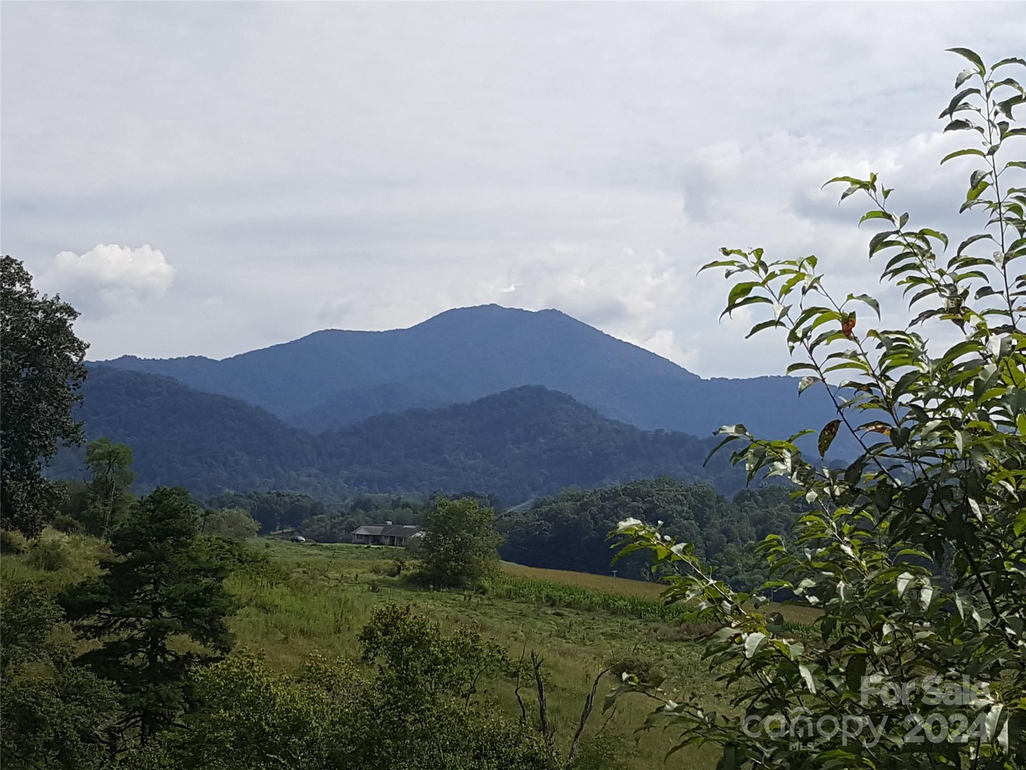 a view of a lush green field with mountains in the background