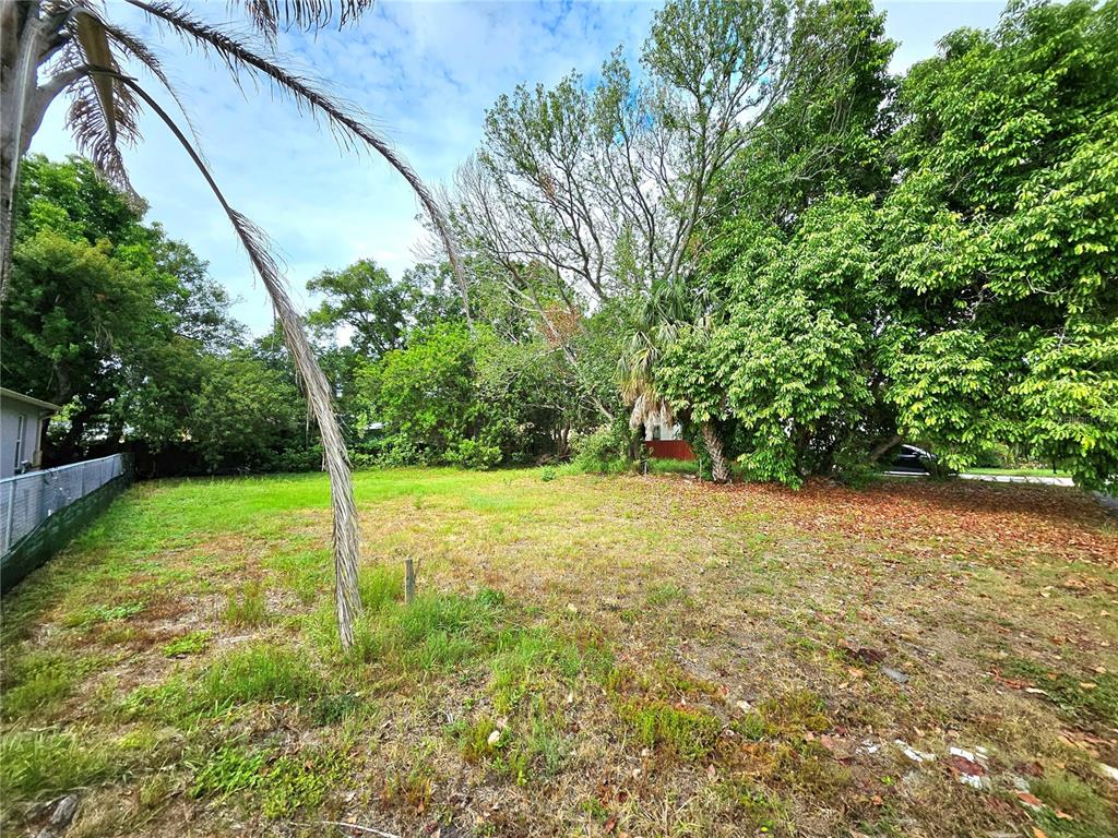 a view of a yard with a tree