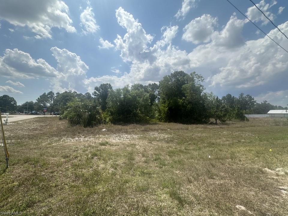 a view of outdoor space with green field and trees