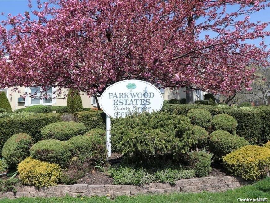 a view of a park that has a large tree