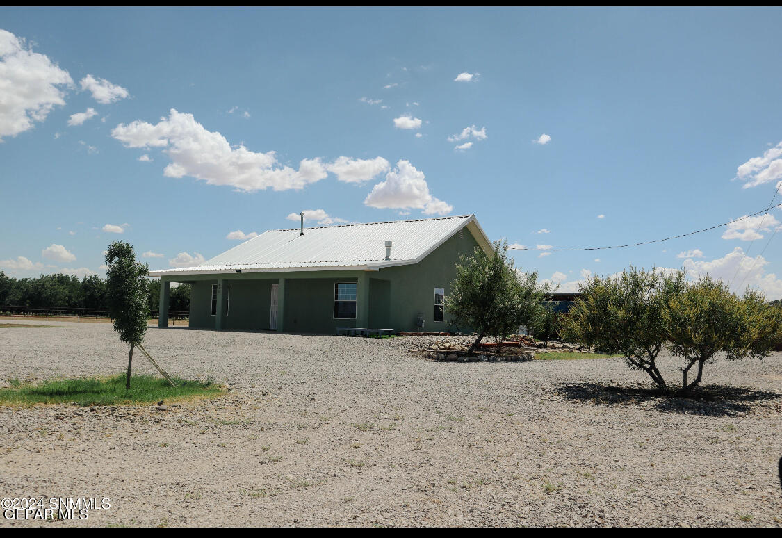 a view of a dry yard with a tree