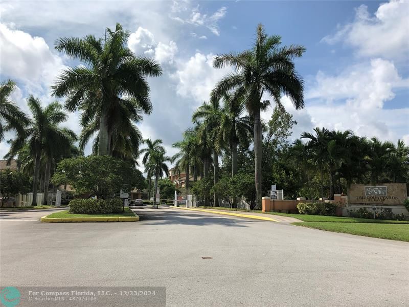 a view of road and palm trees