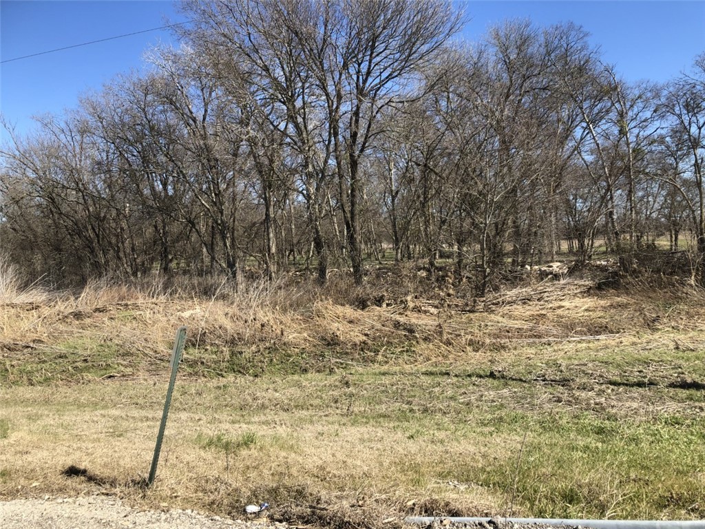 a view of a yard with trees