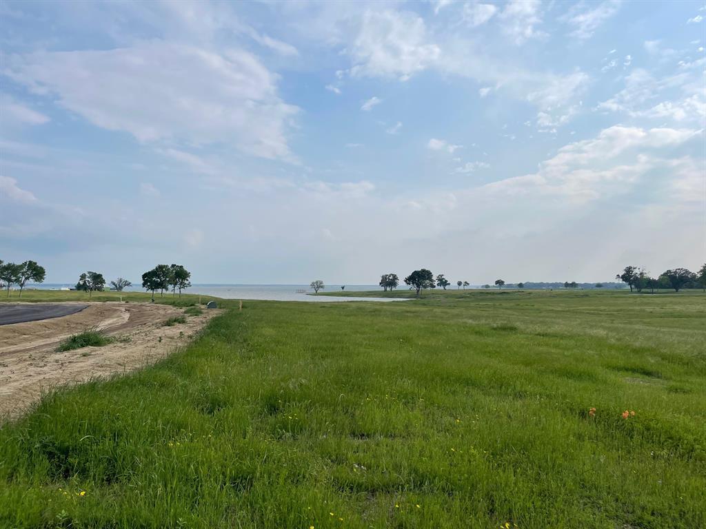 a view of a field with lots of green space and fog