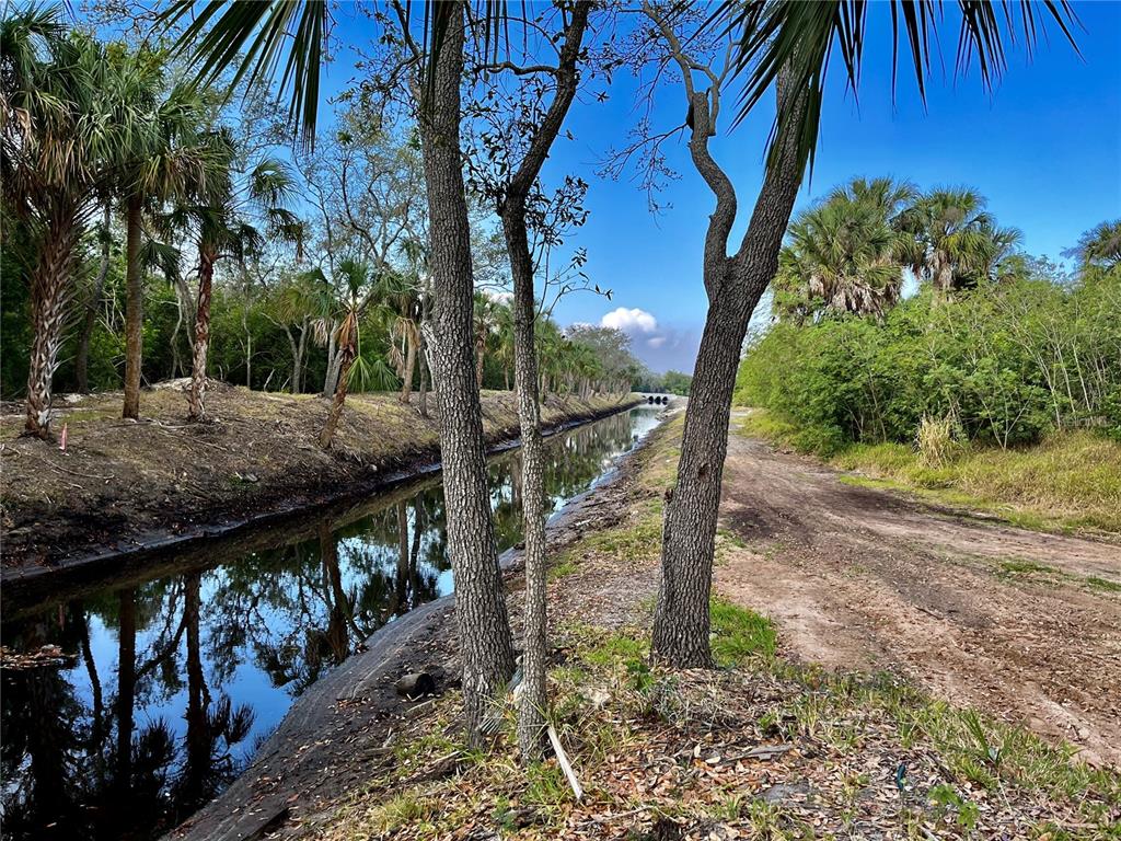 a view of a pathway with a tree