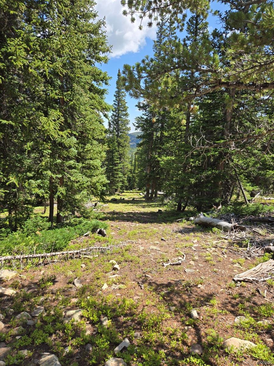 a view of a yard with an trees