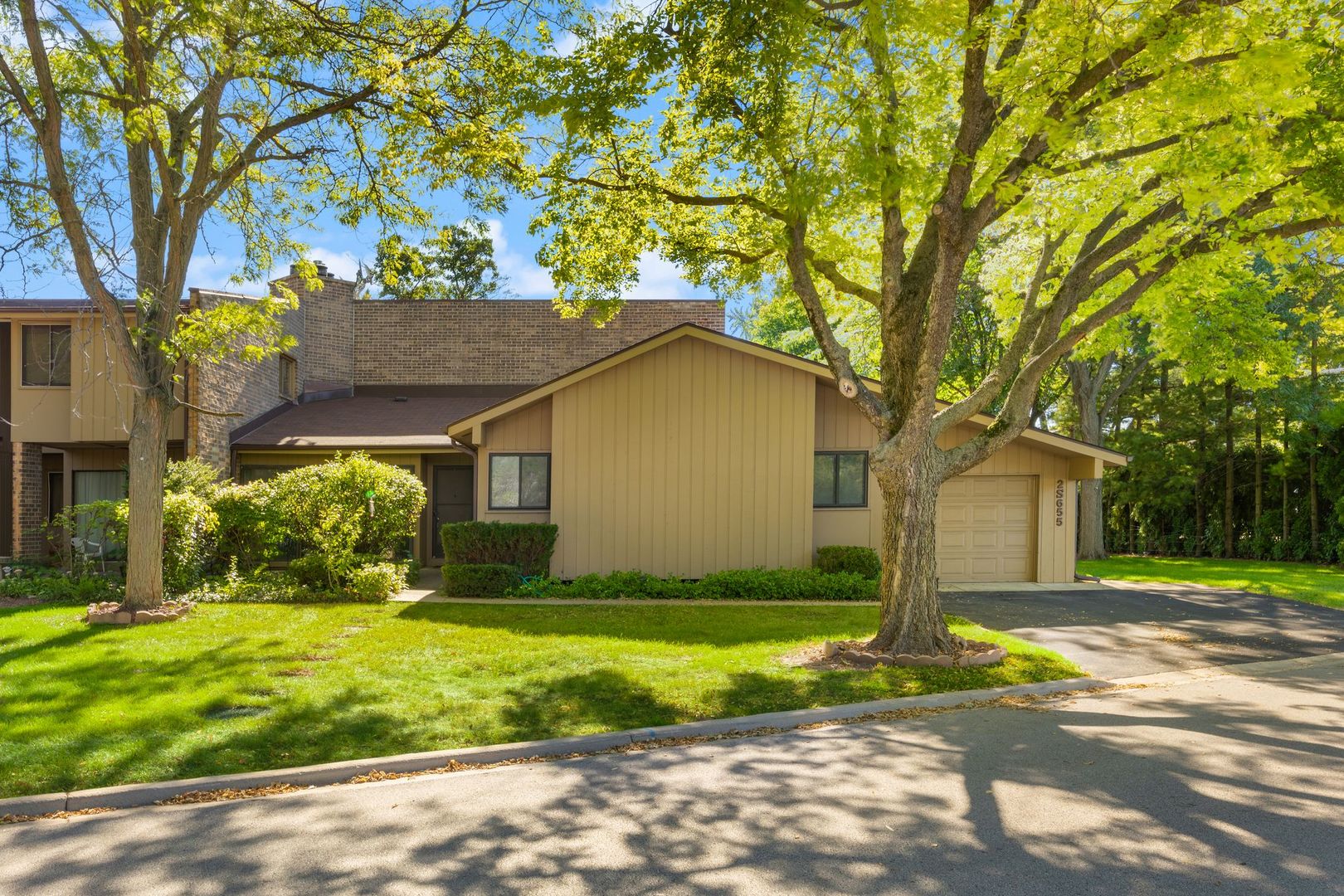 a view of a house with yard and tree s