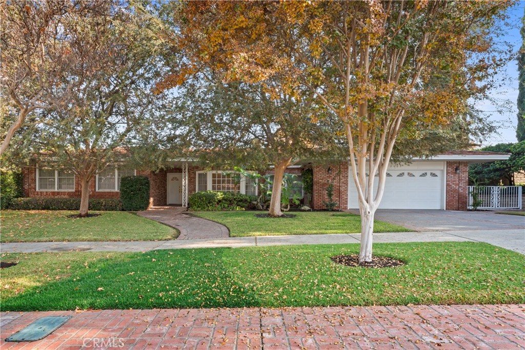 a front view of a house with a yard and tree