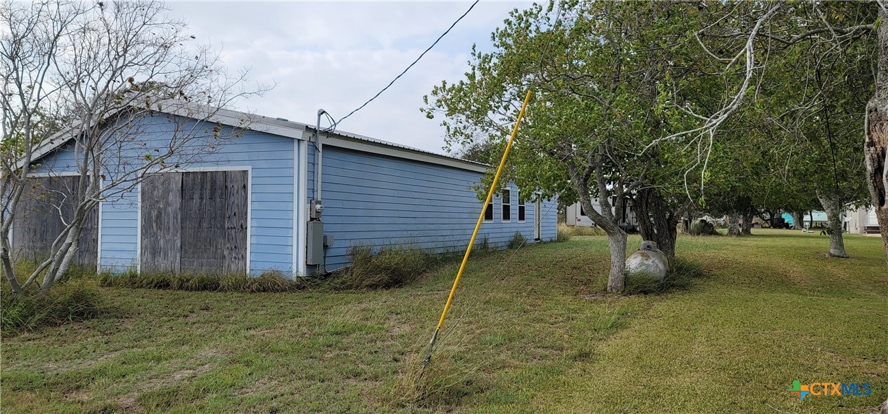 a backyard of a house with plants and large tree