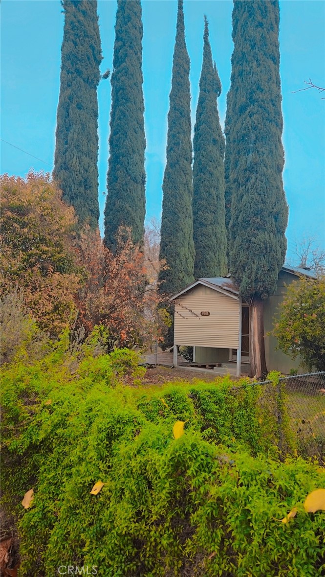 a view of a back yard