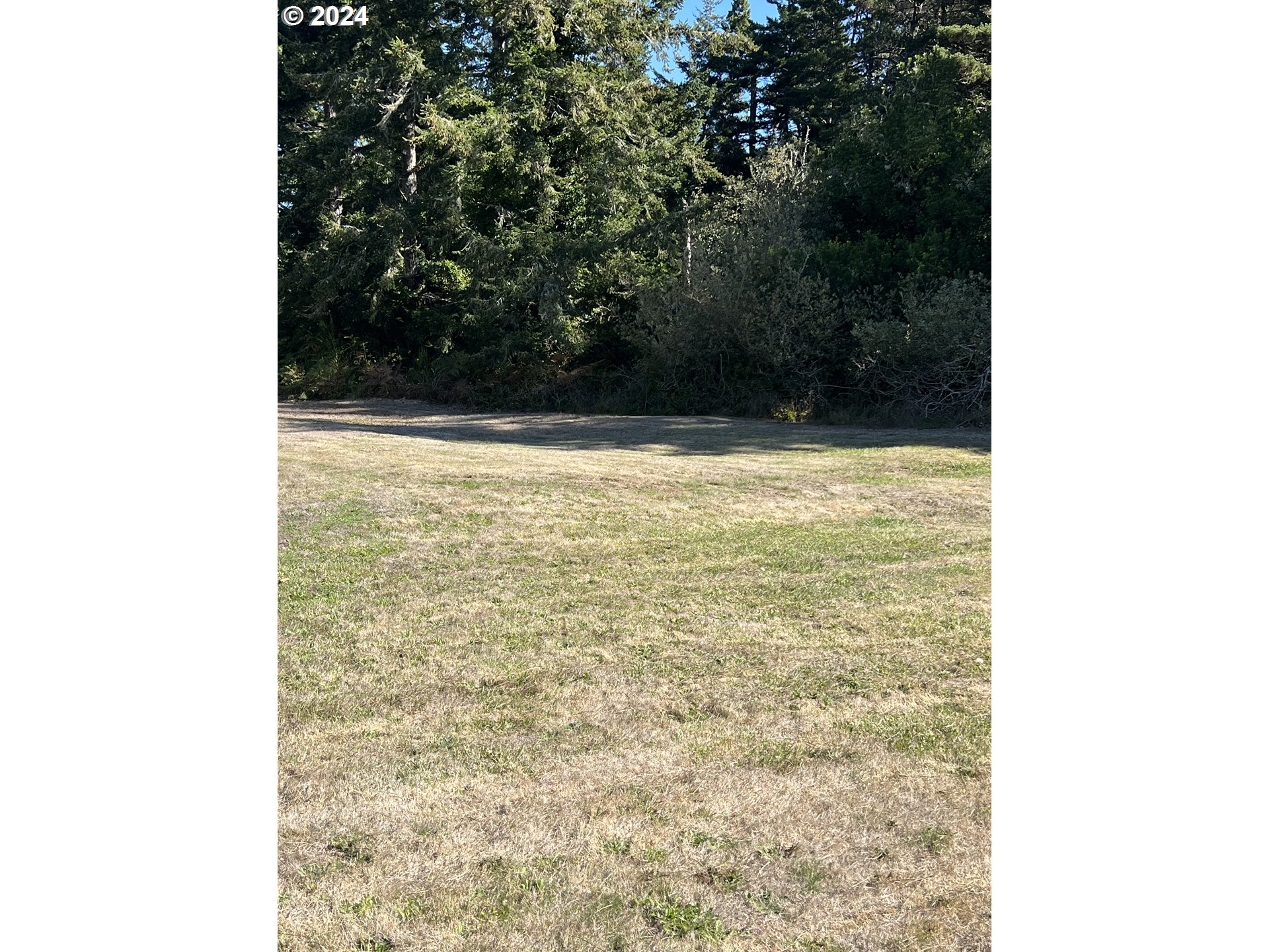 a view of a room with a small yard