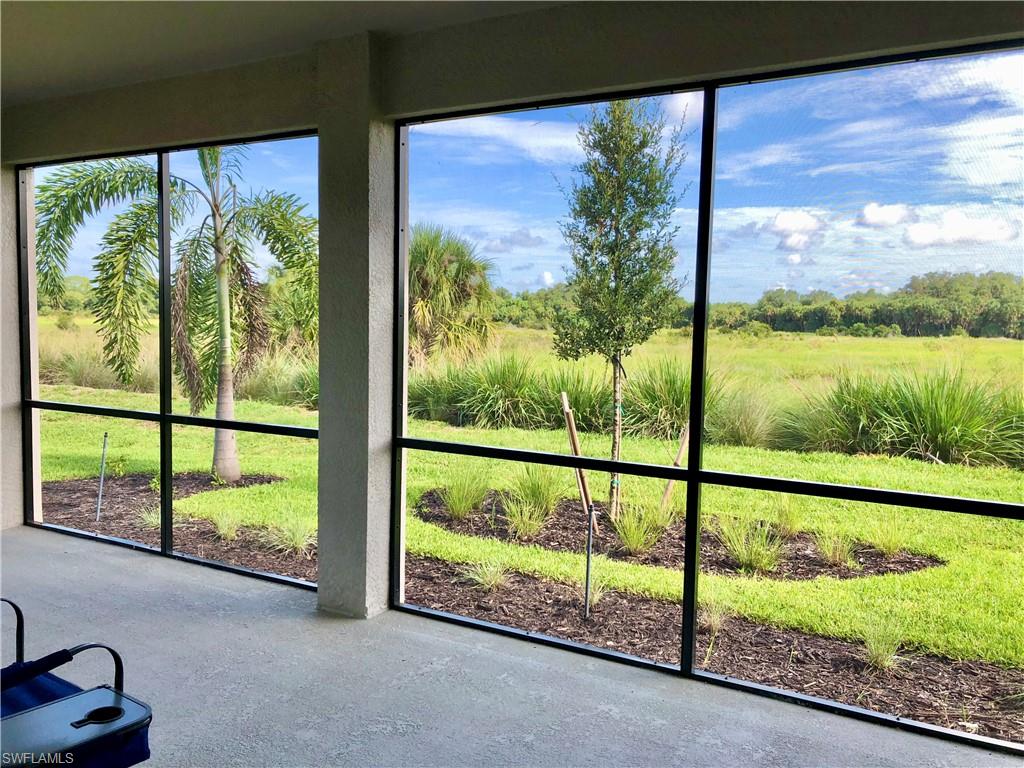 a view of a garden from a window