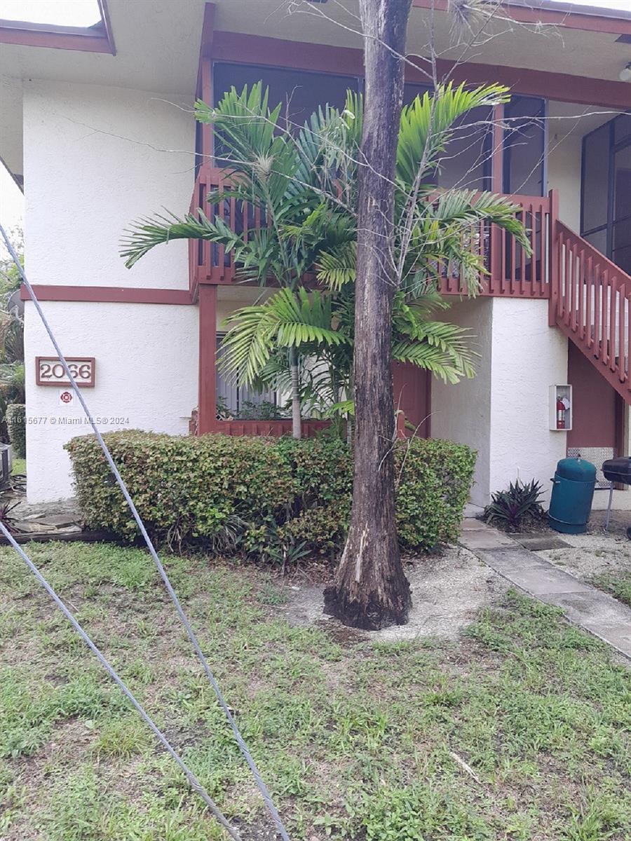 a view of a backyard with plants and a bench