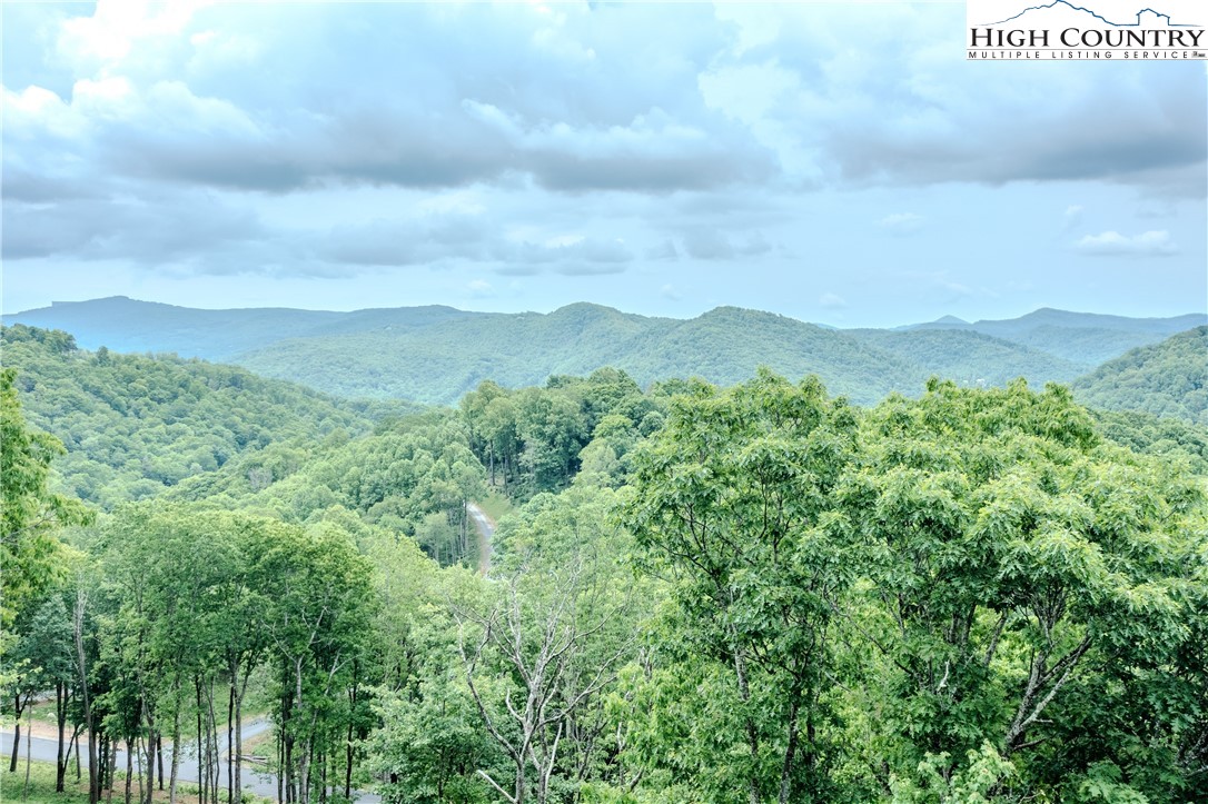 a view of a city with lush green forest