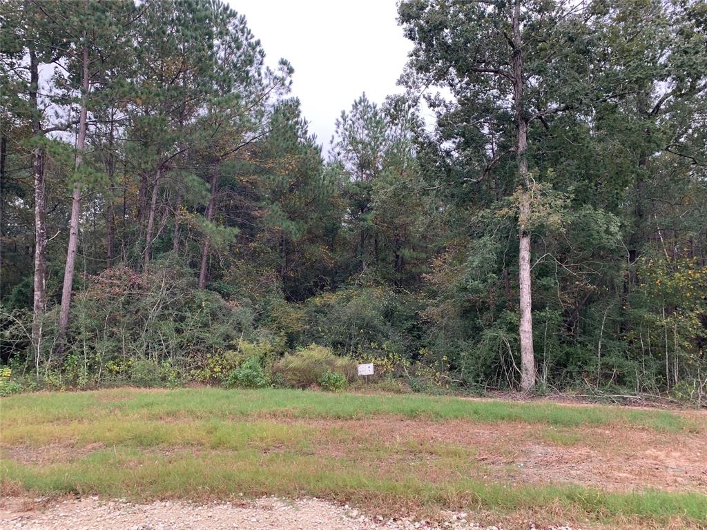 a view of a field with trees in the background