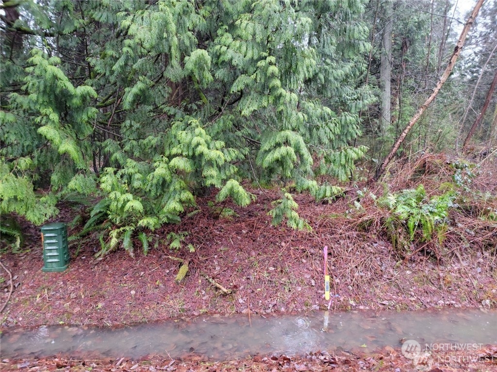 a view of a large yard with lots of green space