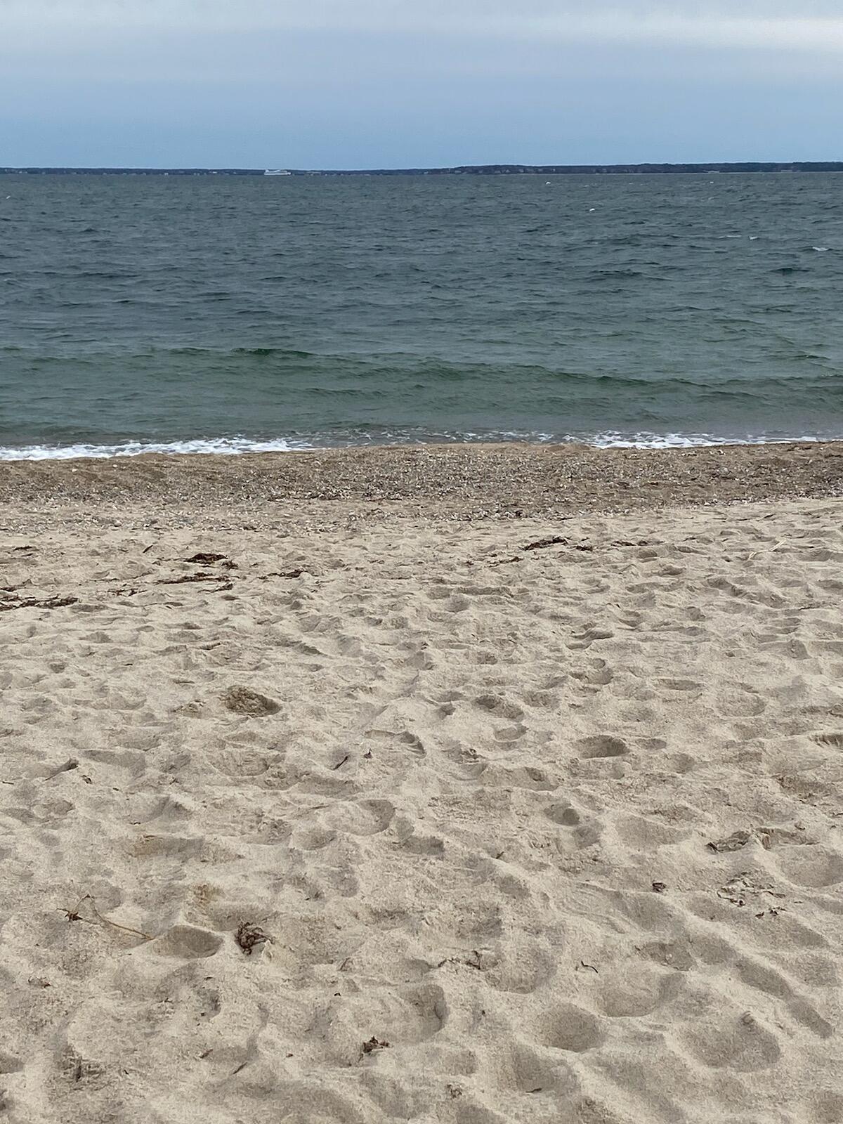 Sandy Beach looking toward Vineyard