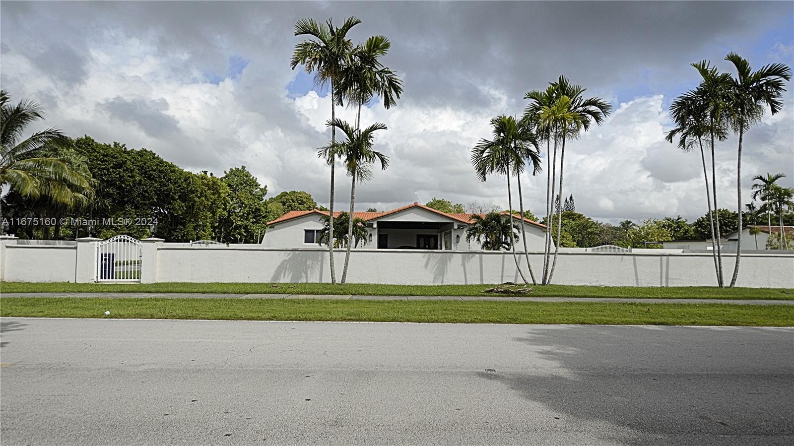 a view of a yard and palm trees