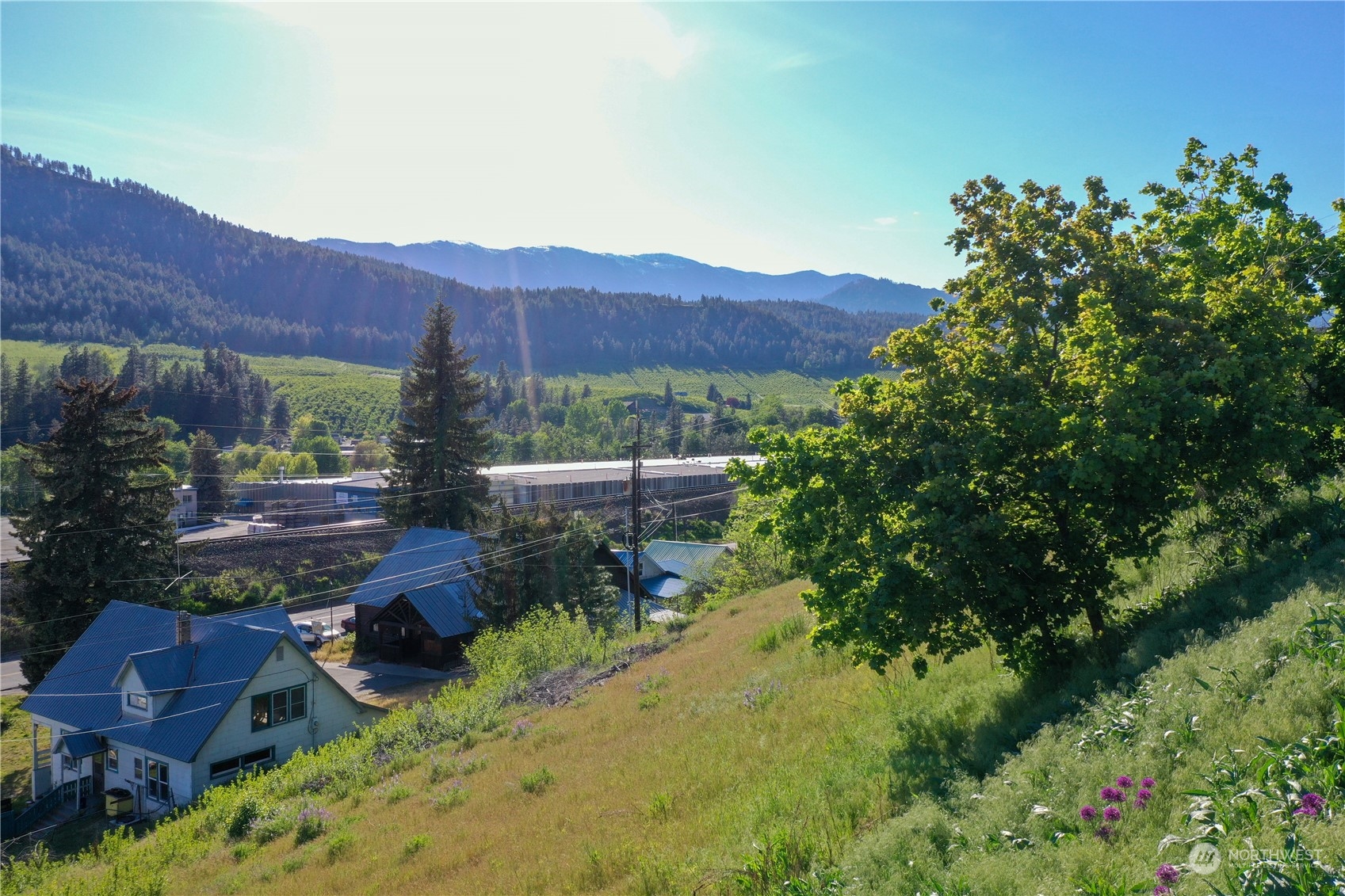 a view of a back yard