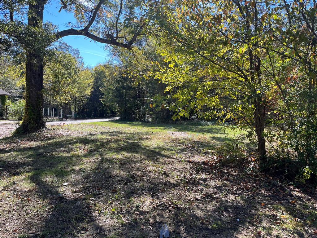 a view of outdoor space with trees all around