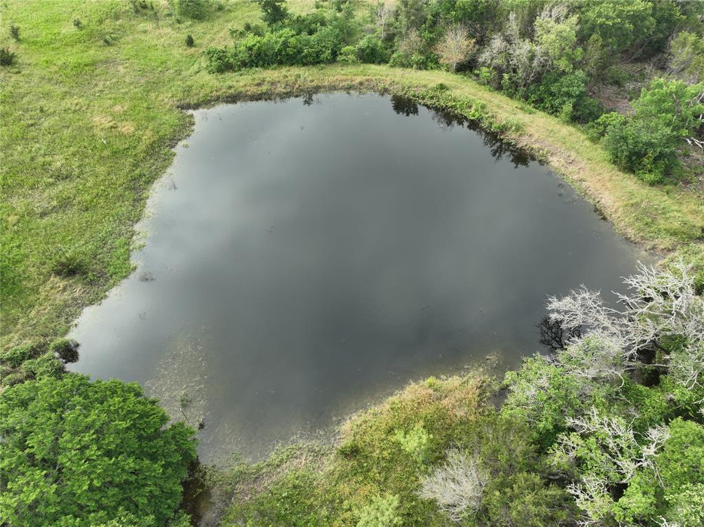 a view of a lake from a yard