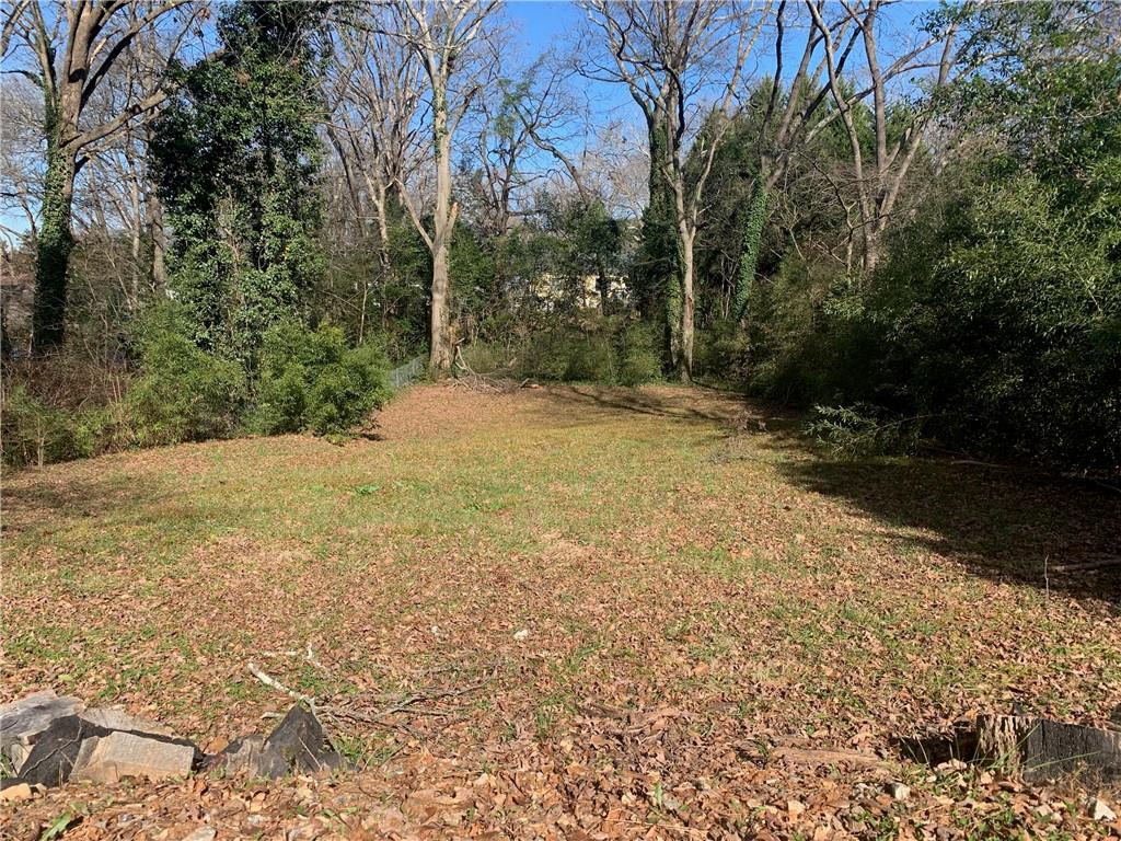 a view of a yard with trees